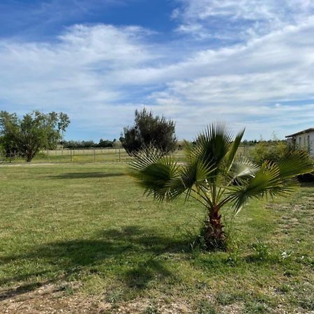 « La Parenthese » Gite En Camargue Арль Екстер'єр фото