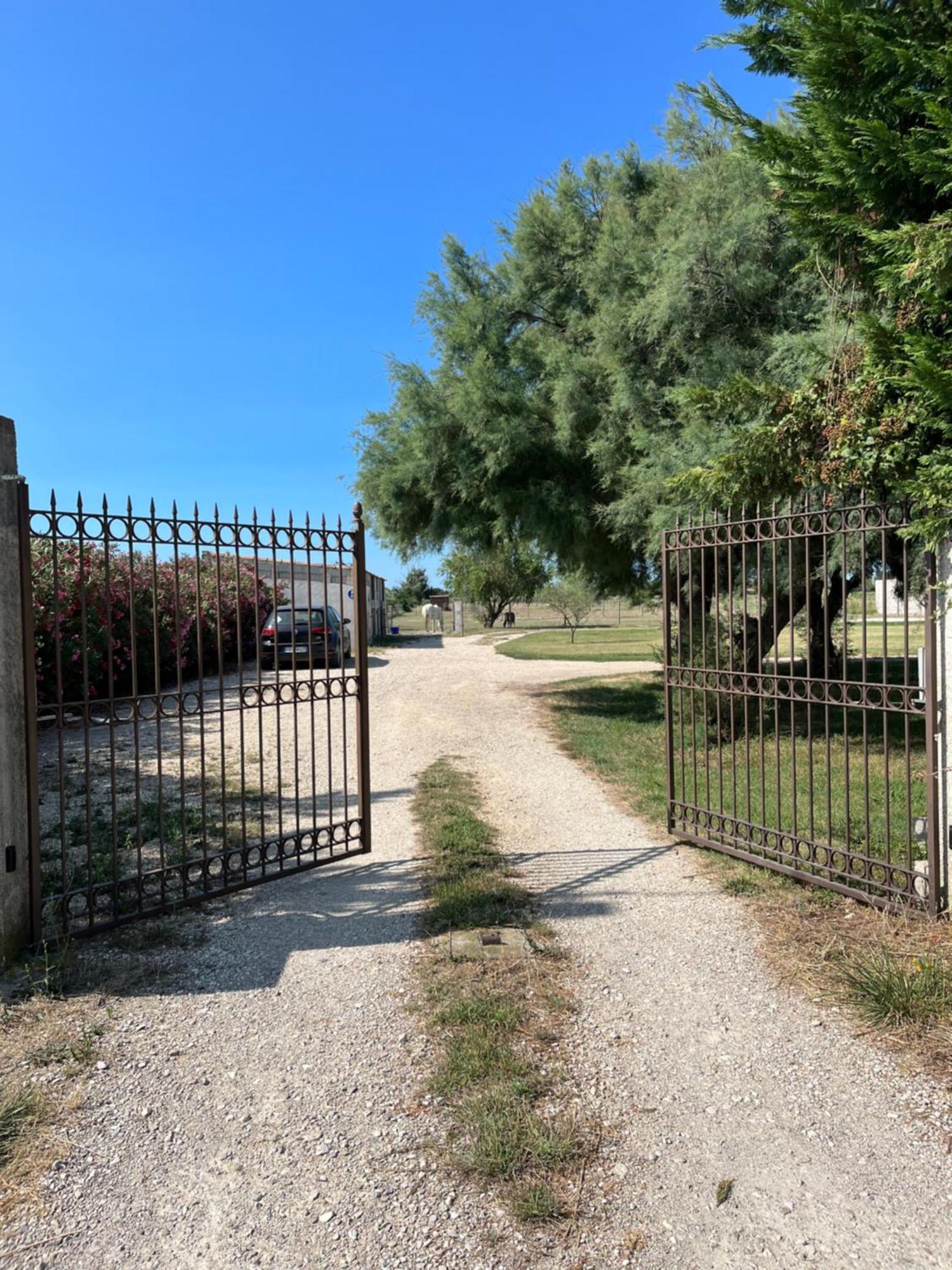 « La Parenthese » Gite En Camargue Арль Екстер'єр фото