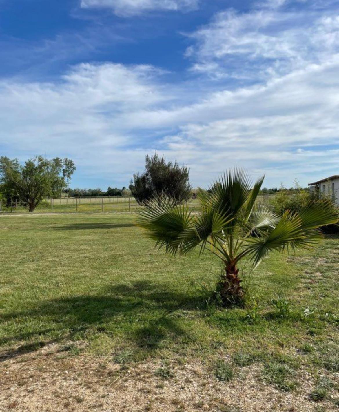« La Parenthese » Gite En Camargue Арль Екстер'єр фото